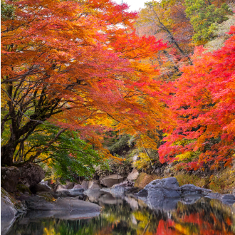 화담숲
